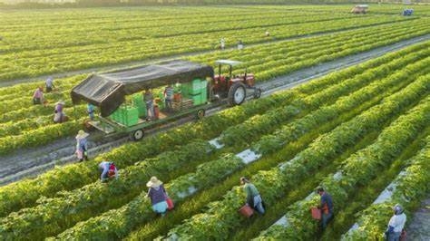 Luật Sư Khánh Hòa